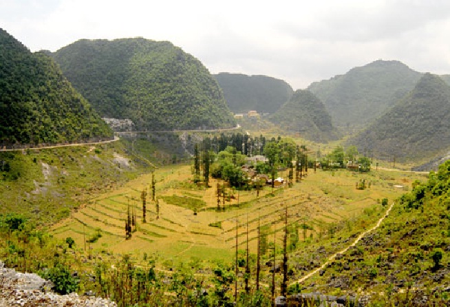 Dinh thự “Vua Mèo” 2
