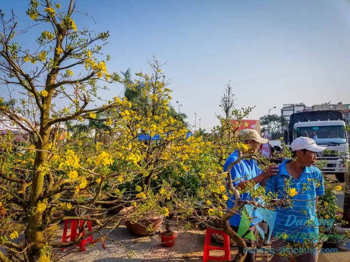 duong-hoa-tet-da-nang-xuan-nam-moi-8-711×533